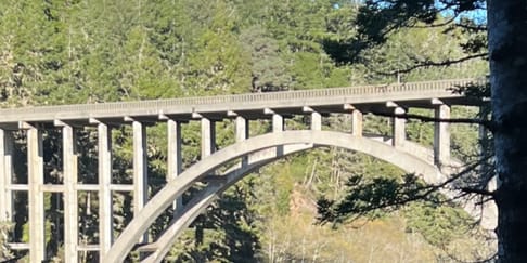 Bridge Your Skill Gap